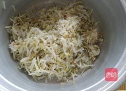 馅饼的做法图解3