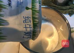 自制酸奶的做法图解4