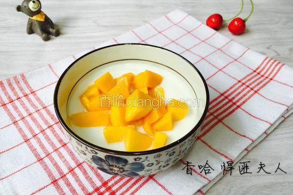 自制酸奶