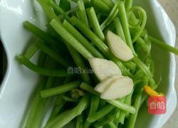 炒南瓜花的做法图解3