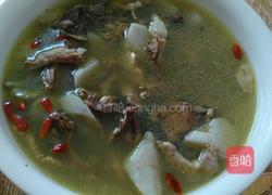 鸽子汤的做法图解4