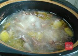 鸽子汤的做法图解3