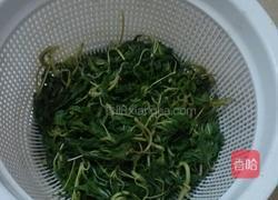 炒麻叶的做法图解3