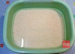 蜜棗碱水粽的做法图解2