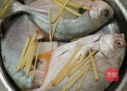 清蒸海昌的做法图解1