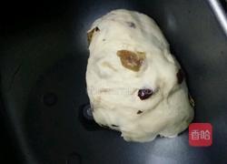 可爱的葡萄干蔓越莓软欧的做法图解3