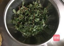 马蜂菜锅贴（马齿苋）的做法图解1