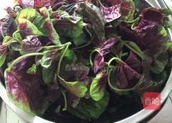 蒜泥苋菜的做法图解1