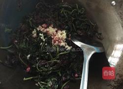 蒜泥苋菜的做法图解6
