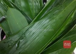 包粽子的做法图解1