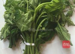 小炒南瓜苗的做法图解1