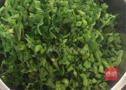 小炒南瓜苗的做法图解3