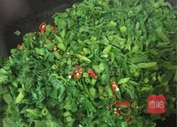 小炒南瓜苗的做法图解5