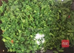 小炒南瓜苗的做法图解6