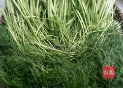 茴香肉包子的做法图解1