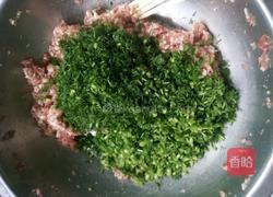 茴香肉包子的做法图解11