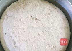 茴香肉包子的做法图解14