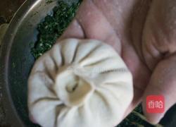 茴香肉包子的做法图解18