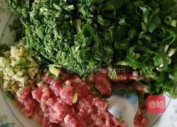 山黄瓜肉水饺的做法图解2