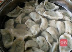 山黄瓜肉水饺的做法图解6