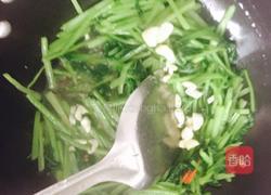 素炒臭菜的做法图解6