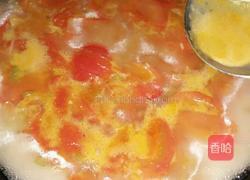 西红柿蛋花汤的做法图解6