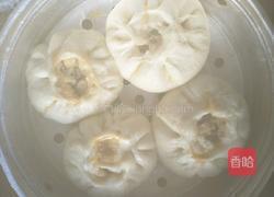 土豆肉包(包子制作全过程)的做法图解8
