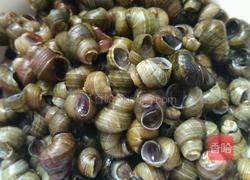 香辣炒田螺的做法图解1