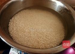 蜜枣粽子的做法图解1