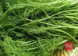 茴香素馅煎包包的做法图解1