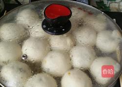 茴香素馅煎包包的做法图解9
