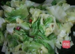 手撕包菜的做法图解6