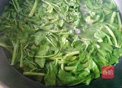 蒜蓉菠菜的做法图解4