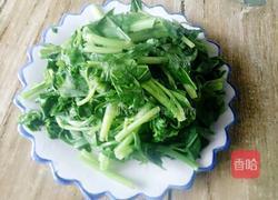 蒜蓉菠菜的做法图解5