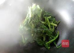 蒜蓉菠菜的做法图解7