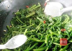 蒜蓉菠菜的做法图解9