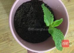 酸奶盆栽的做法图解5