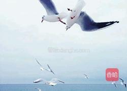 甜胚的做法图解4