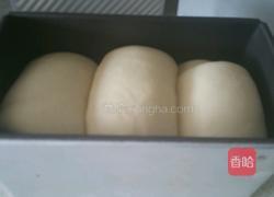 奶香吐司的做法图解8