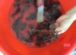 麻辣小龙虾的做法图解2