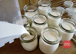 电饭煲自制酸奶的做法图解7