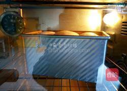 妃娟100%中种北海道醇奶土司的做法图解16
