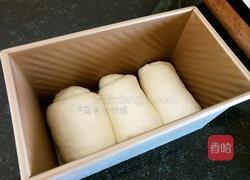 妃娟100%中种北海道醇奶土司的做法图解13