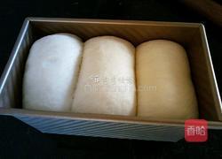 妃娟100%中种北海道醇奶土司的做法图解15