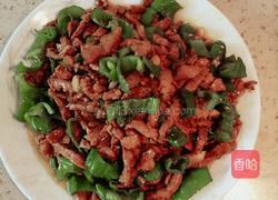 辣椒炒肉丝（简单的美味）的做法图解6