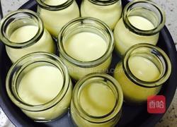 奶香布丁的做法图解1