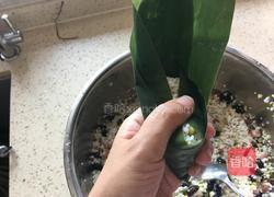 #端午节#杂粮粽子的做法图解8