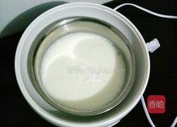 自制奶粉酸奶的做法图解5