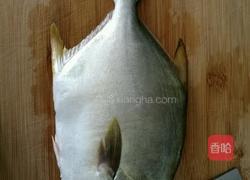 煎金仓鱼的做法图解1