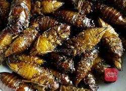 炒知了的做法图解4